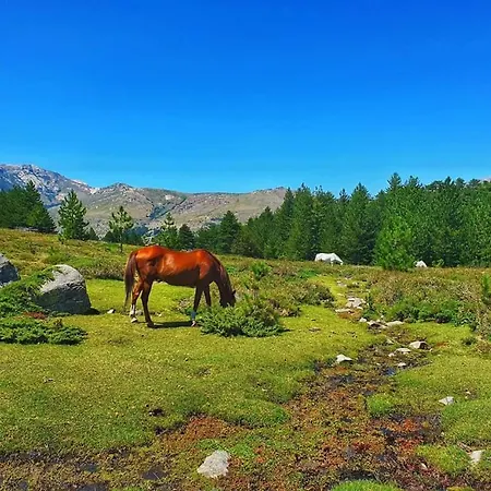 Bleu De - Village Balnéaire San Cyprianu Lecci
