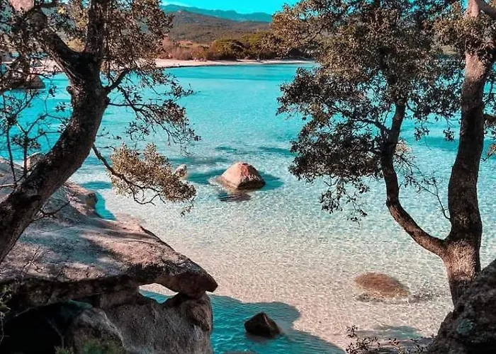 Hébergement de vacances Bleu De - Village Balnéaire San Cyprianu *