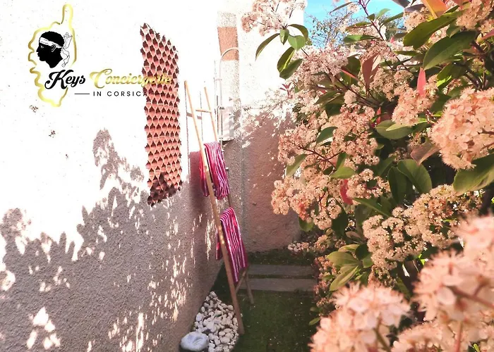 Bleu De - Village Balnéaire San Cyprianu *